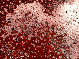 Bulles à la surface du jus de raisin rouge en fermentation