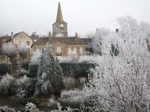 Village et clocher de Pernand-Vergelesses entourés d'arbres givrés